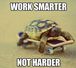 funny-pictures-work-smarter-not-harder-turtle-skateboard